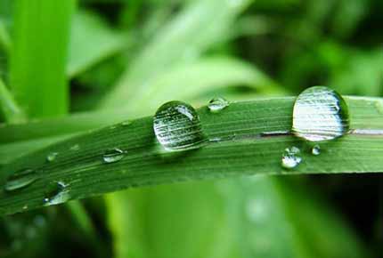 Roth Rainwater Harvesting Rainwater Collection Systems